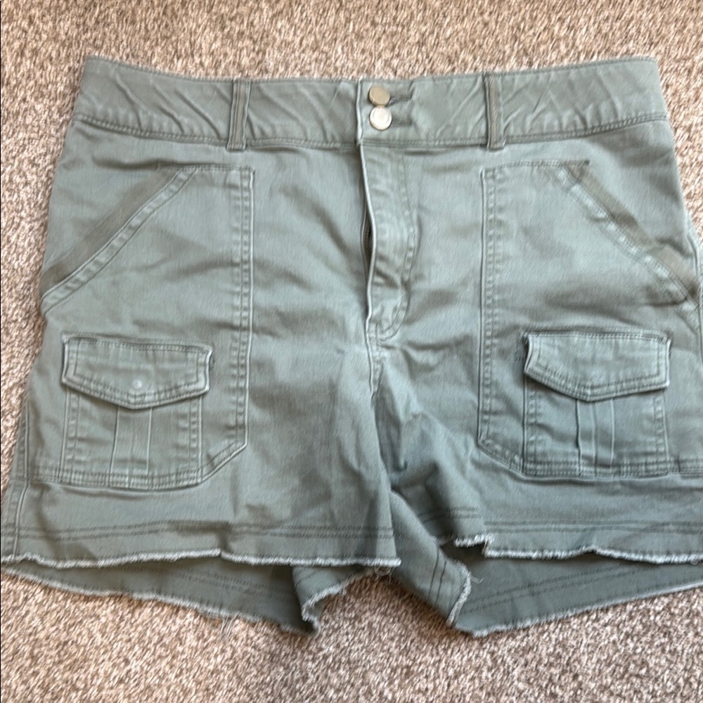 Wit & Wisdom Green Cargo Shorts